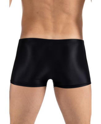 Boxer noir Daring 